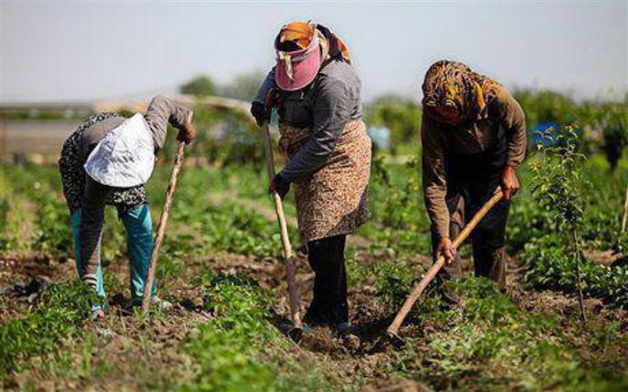 چهارمین مشاغل در ایران تا 10 سال آینده حذف و کم رونق خواهند شد مشاغل مرتبط با بخش کشاورزی می باشد
