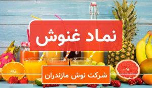 توقف "غنوش" تا 13 تیر به دلیل ظن دستکاری بازار و بررسی بیشتر معاملات