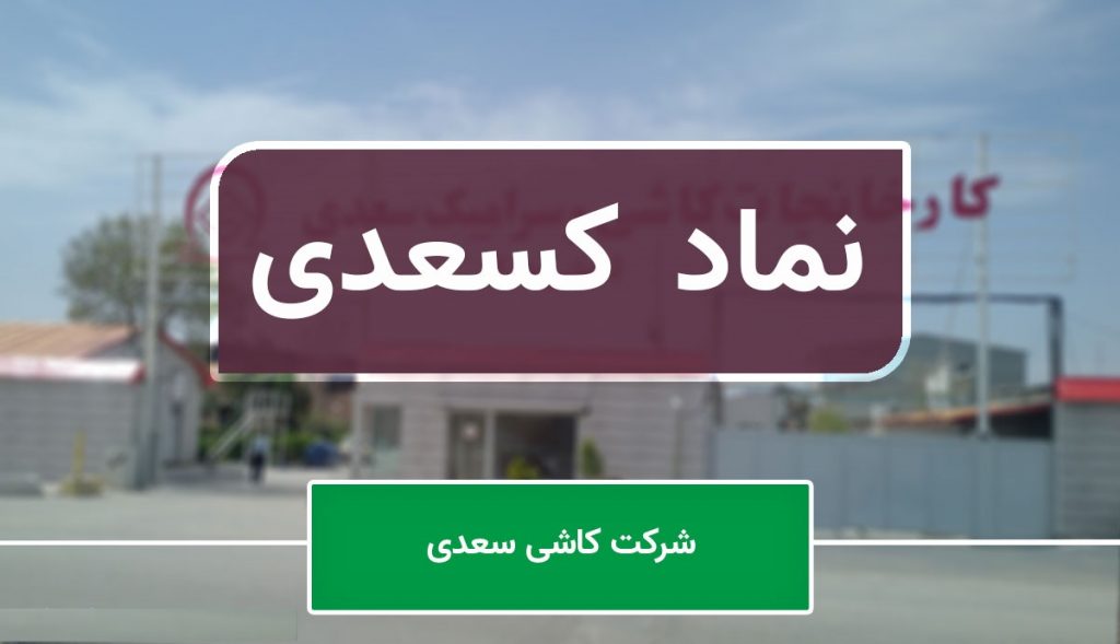 افشای "کسعدی" درباره توقف بخشی از فعالیت های شرکت