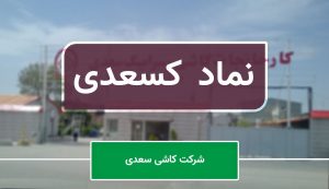 افشای "کسعدی" درباره توقف بخشی از فعالیت های شرکت