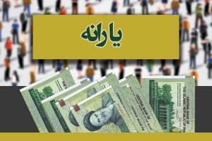 یارانه جدید کی قابل برداشت است؟