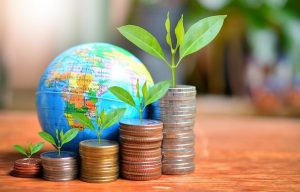 افشای قیمت خرید سهام در عرضه های اولیه توسط صندوق ها