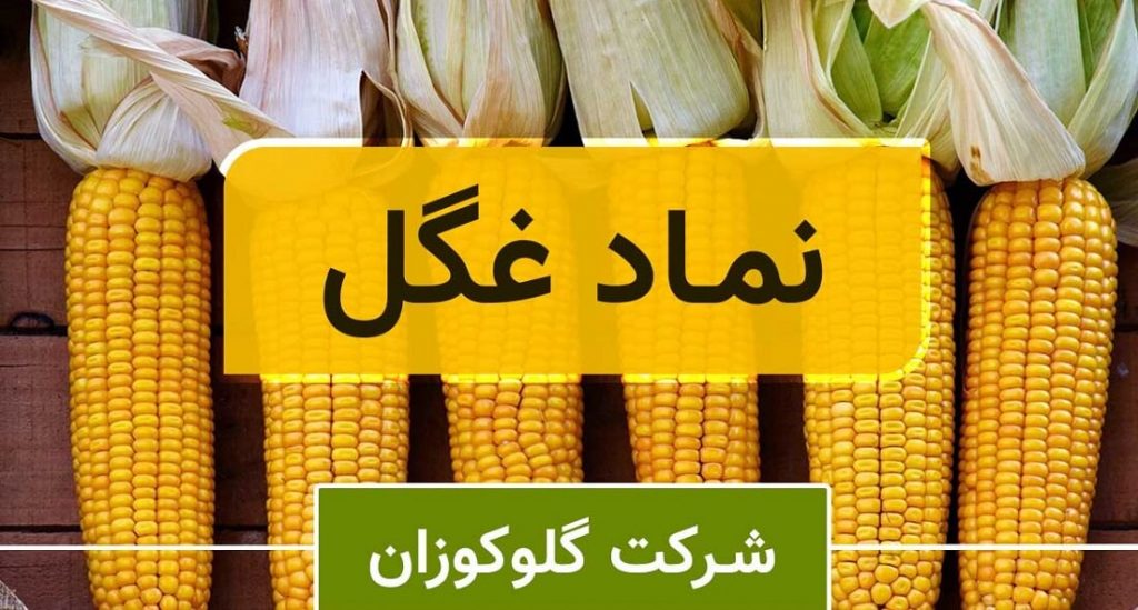 سود نقدی 100 ریالی غگل در مجمع سالانه 1401/ زمانبندی پرداخت
