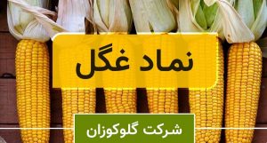 سود نقدی 100 ریالی غگل در مجمع سالانه 1401/ زمانبندی پرداخت