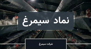 لغو عرضه بلوک 5.4 درصدی سهام سیمرغ با انصراف سهامدار عمده