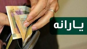 ارجاع مصوبه حذف یارانه نقدی به مجمع