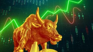 بررسی عملکرد سازمان بورس در نشست شورای عالی بورس