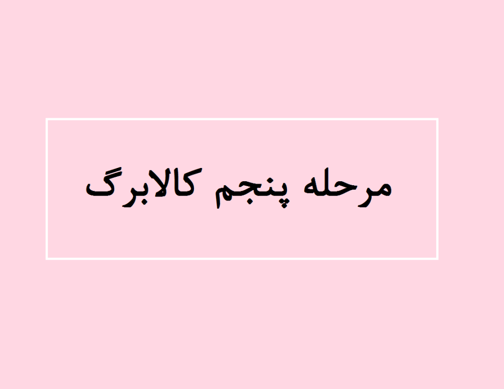 مرحله پنجم کالابرگ کی واریز میشود
