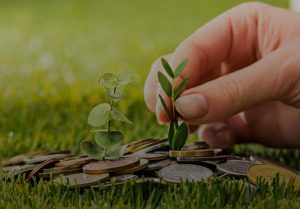 چرا صندوق‌های با درآمد ثابت محبوب‌اند