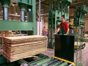 هر سهم چنوپا چقدر سود داد؟