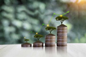 افزایش سرمایه غشوکو، مدیریت، ولانا